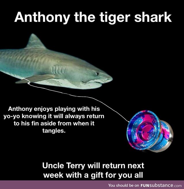 No Terry This Week