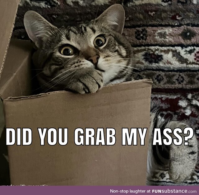 Did you?