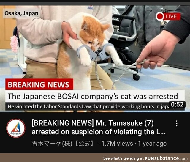 Free him. He was set up