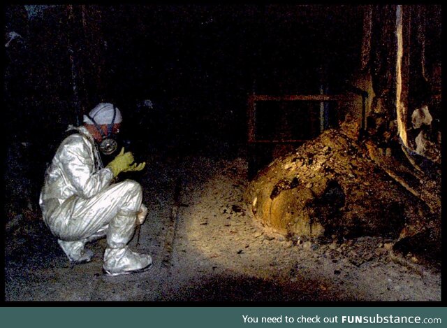 A man with little protection face to face with the infamous Chernobyl elephants foot