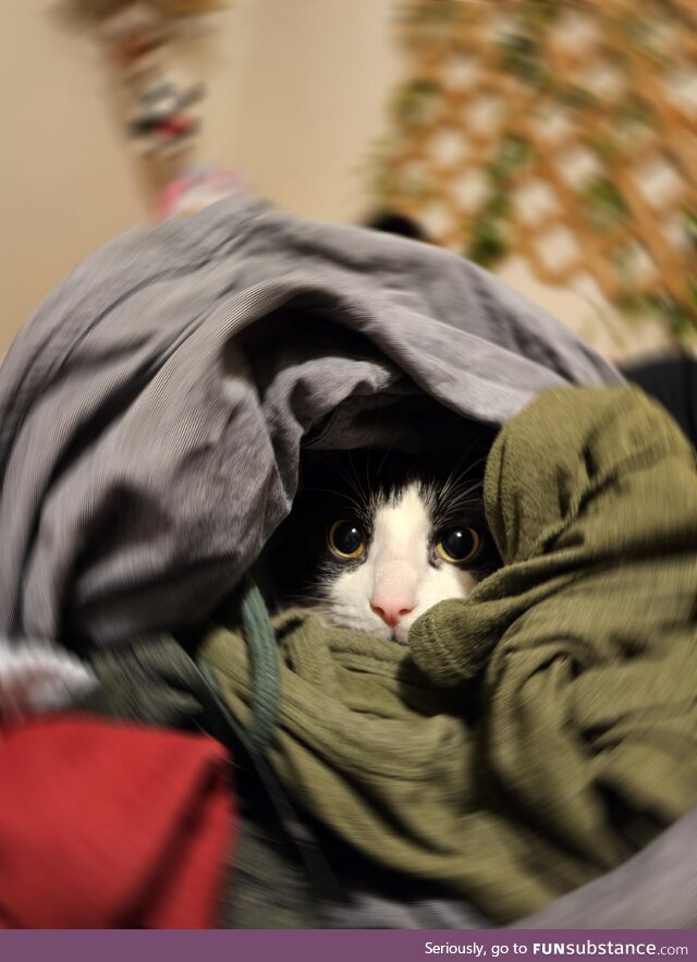 Laundry boy
