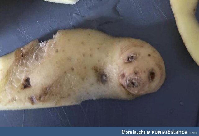 Seal potato