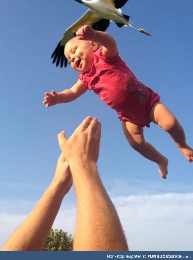 Perfectly timed pics