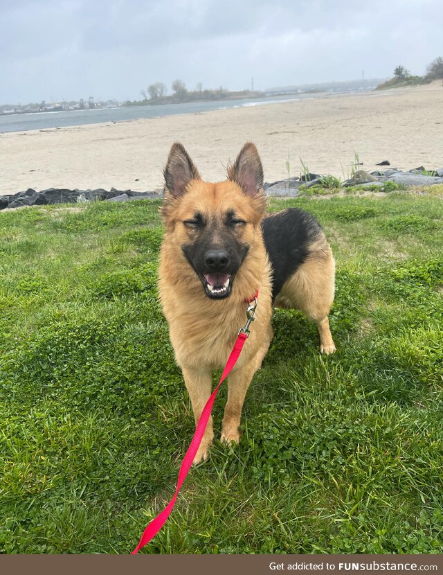 The moment he realized he was being adopted. He’s smiling