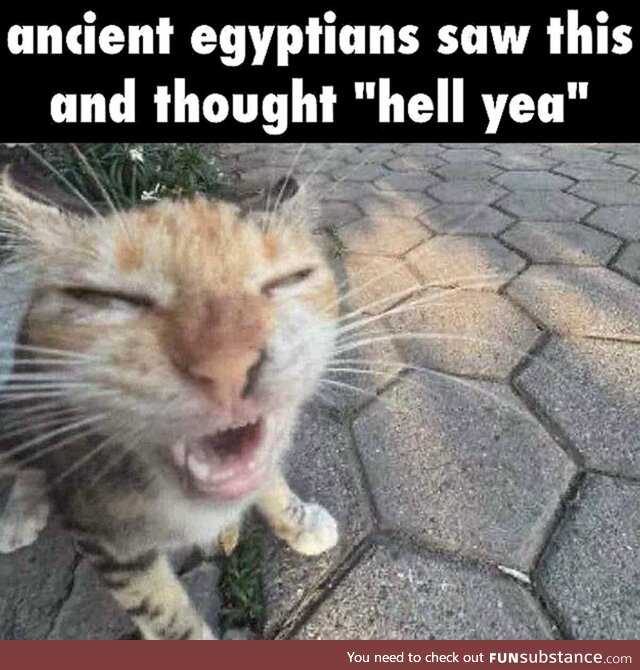 Odd short-lived alarmed