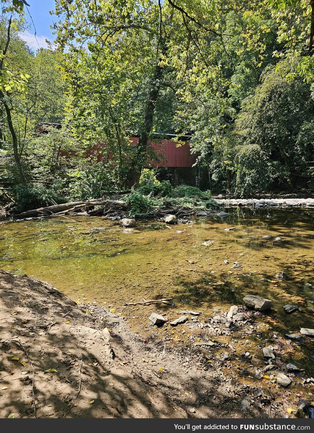 Old red Bridge in the woods