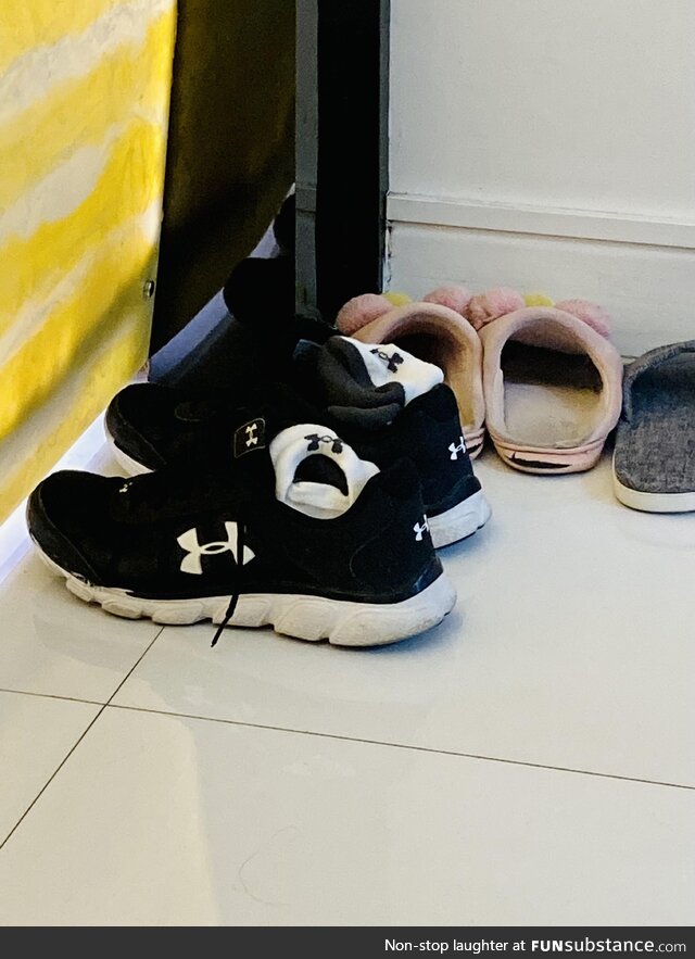 Sock is angry for being left in a smelly shoe
