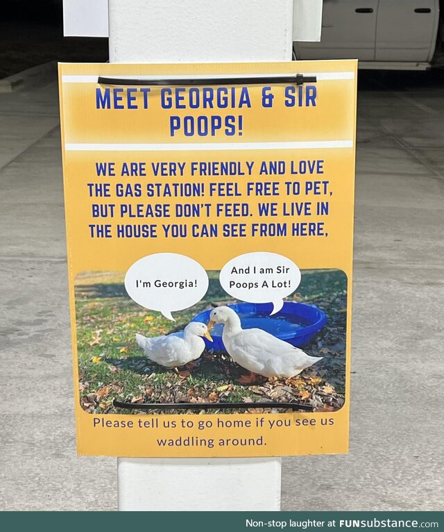 Spotted at a local gas station