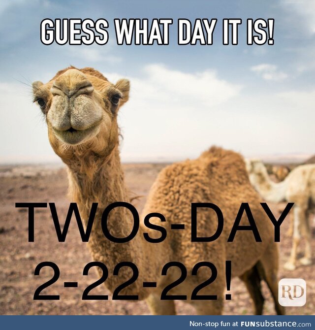 Had to be ready for dad jokes tomorrow so I made this to wake up my wife