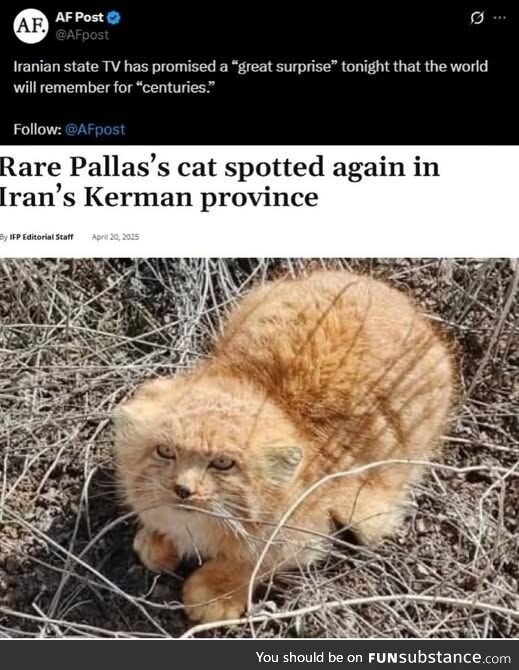 Something actually happened