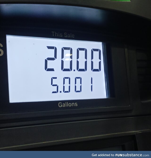 Dammit