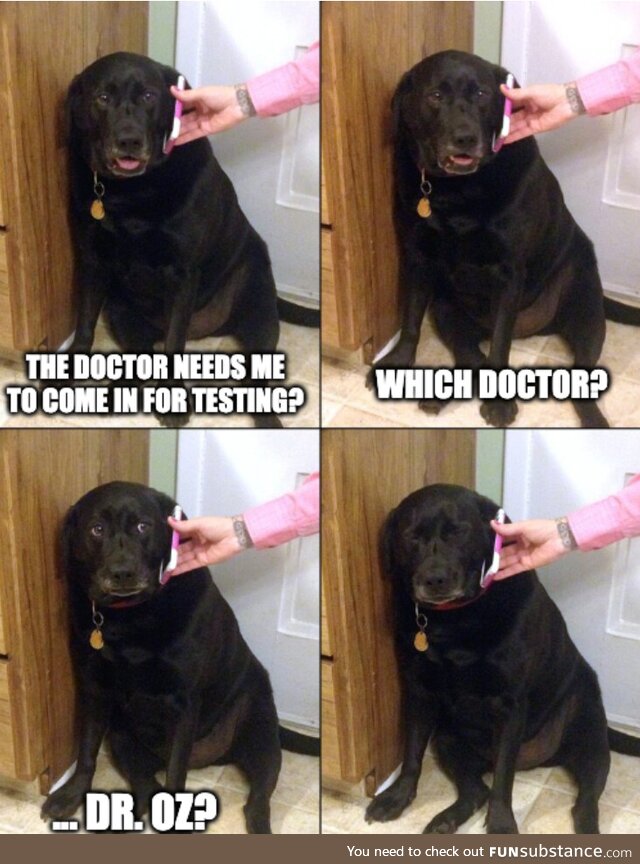 *cries in dog*