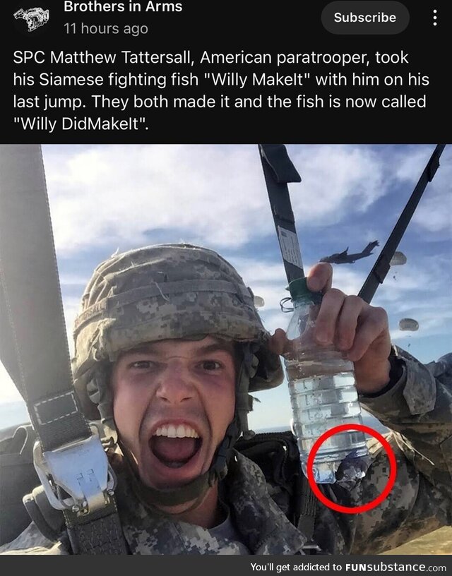 Wojak looking ass