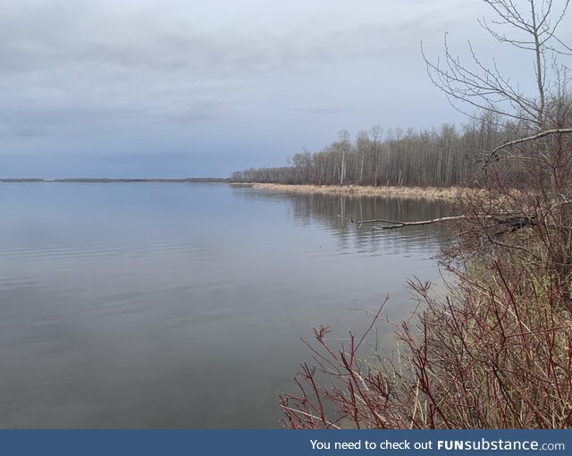 Brock lake