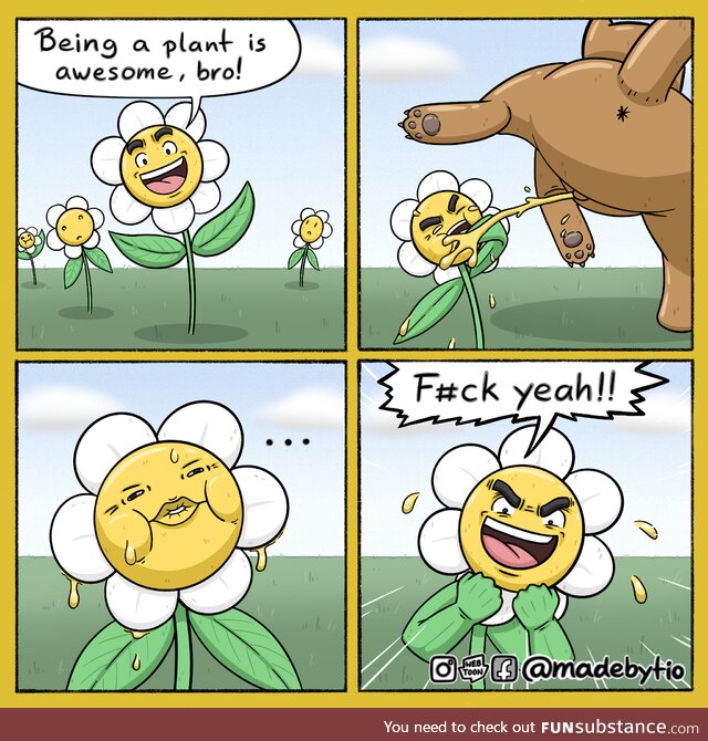 Plant life in a nutshell