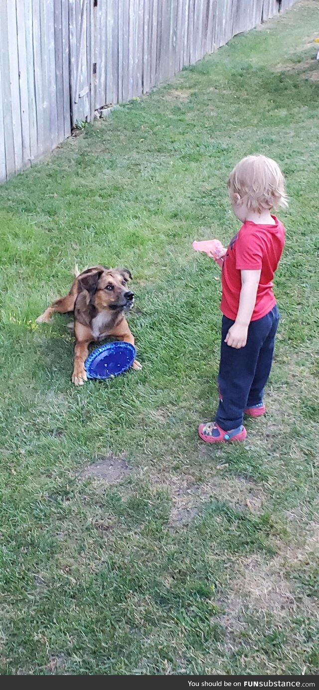 The standoff