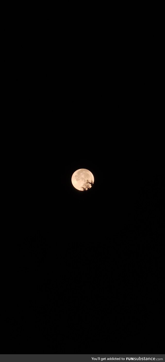 The moon is cracking