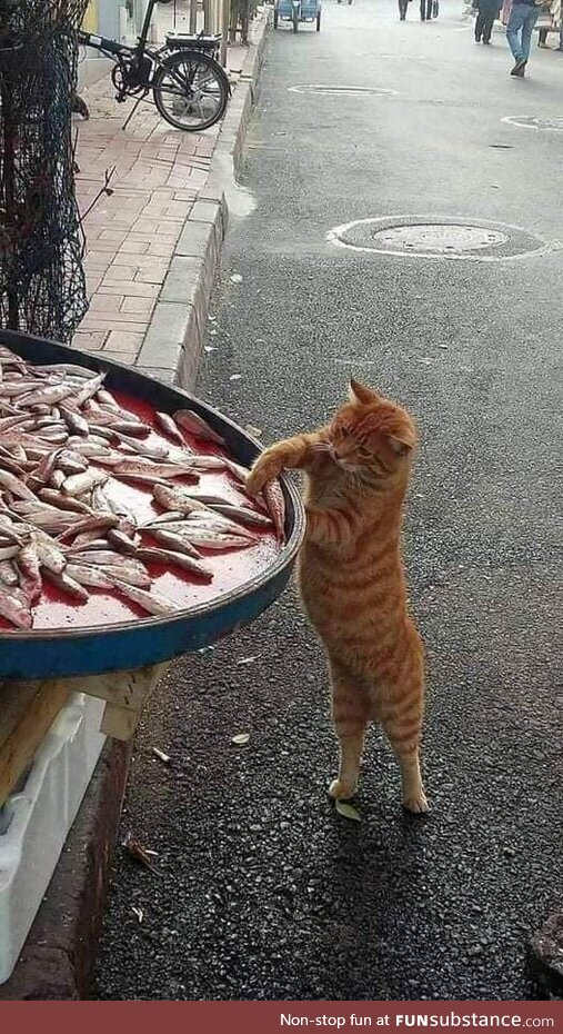 Cute thief