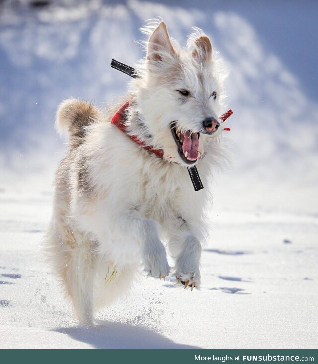 Snow makes him happy