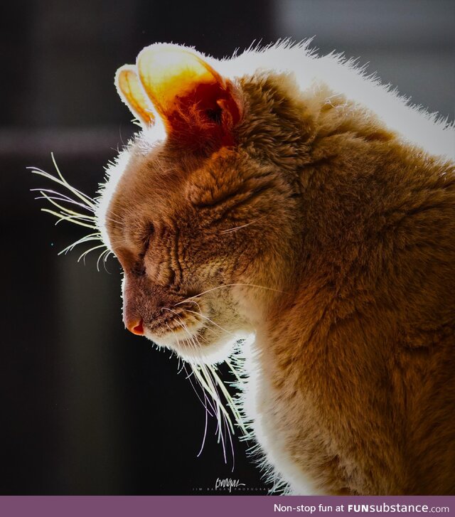 Max