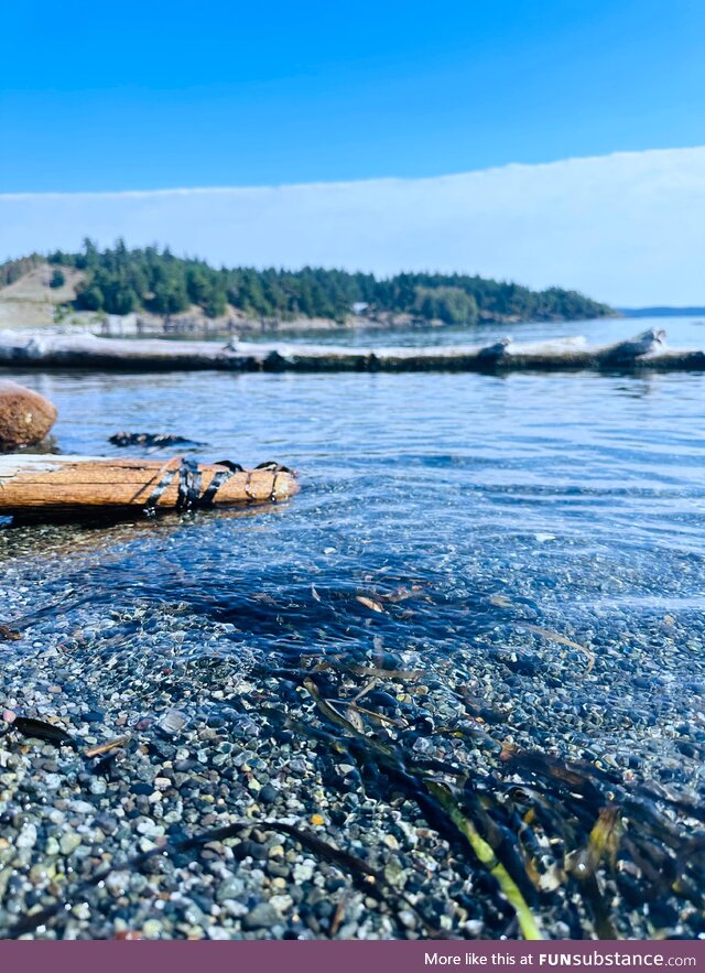 Pnw - friday harbor