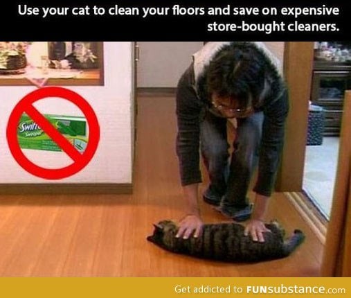 Cat life hack