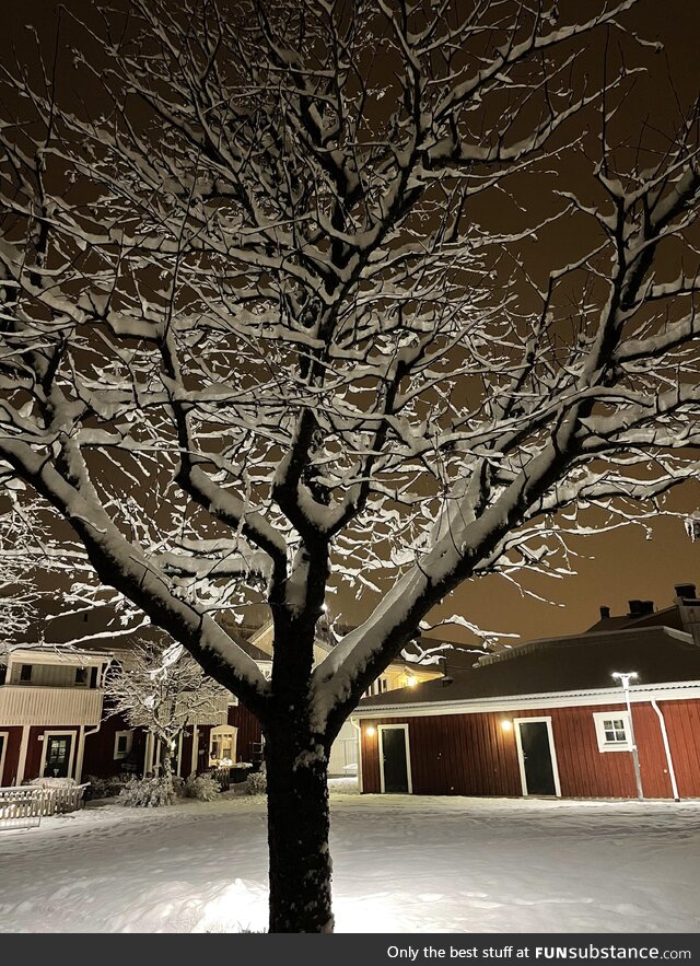 Snow 