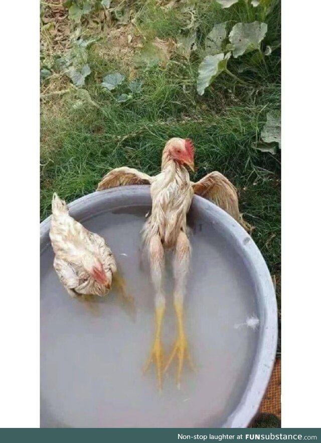 After it enjoys the bath. It's time to eat it