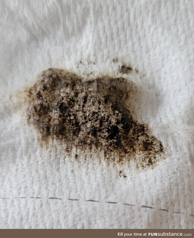I put some toilet tissue over my water pipe to see how much tar was coming out of my