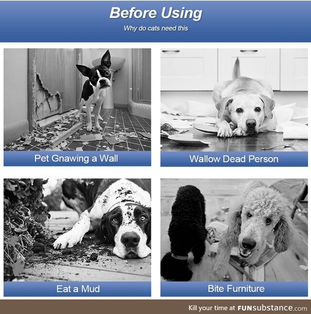 There is a lot to unpack in this ad for a dog pen on Amazon