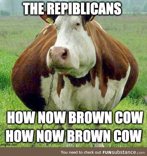How now brown cow