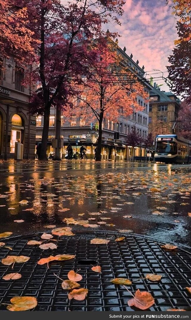 After the rain