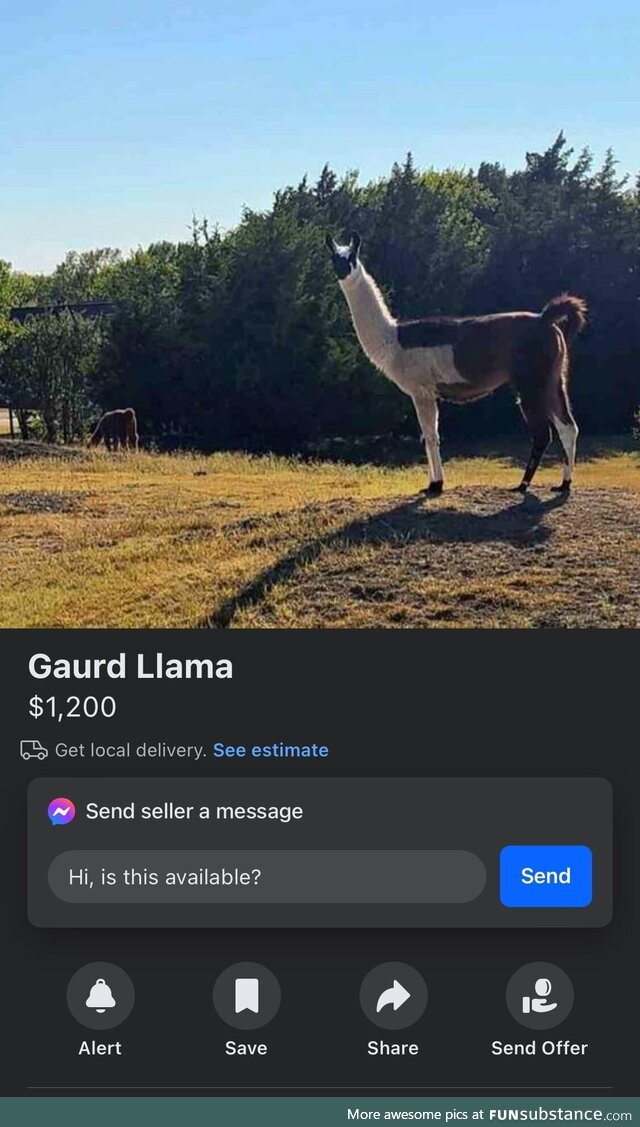 All of a sudden I’m in the market for a Guard Llama