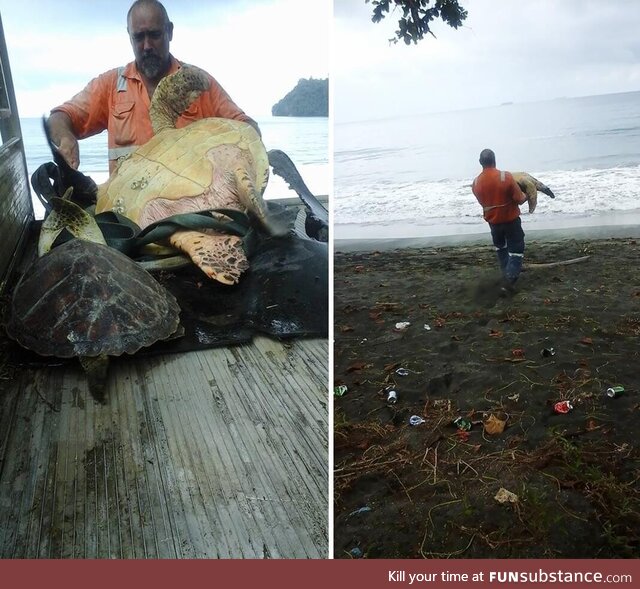 Man buys turtles from food market and releases them back to the sea