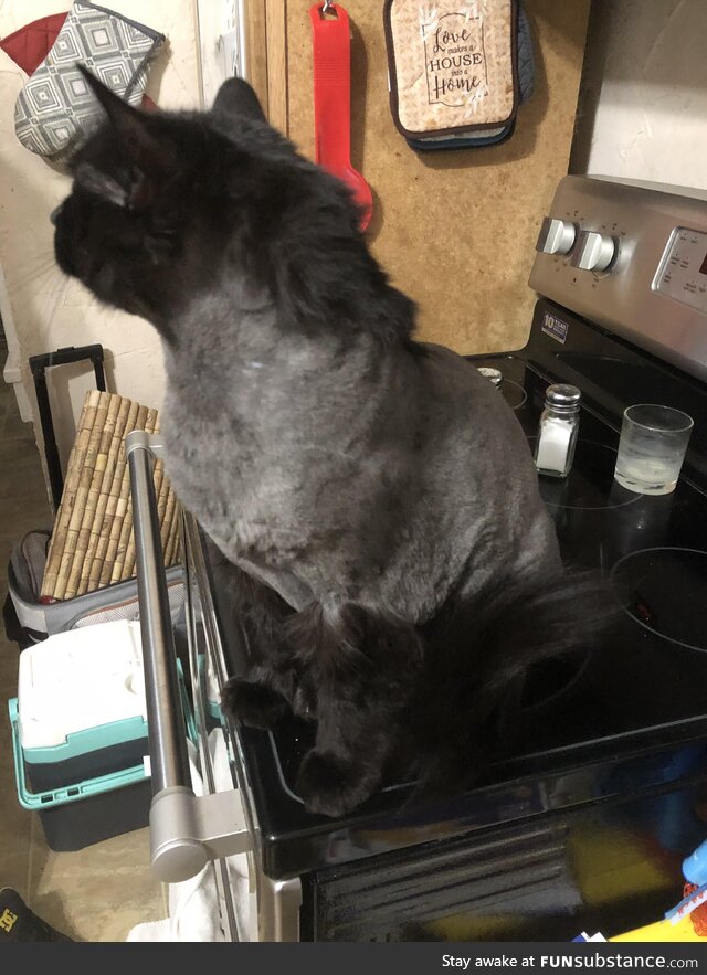 He now can feel the wind in his mullet