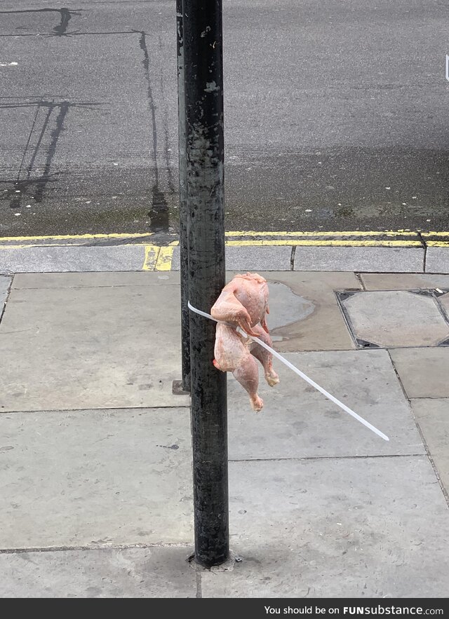 A chicken zip tied to a pole in London