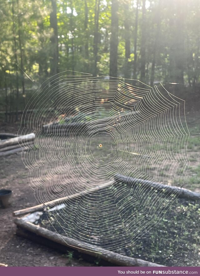 Caught this beautiful picture of a trippy spiderweb today!