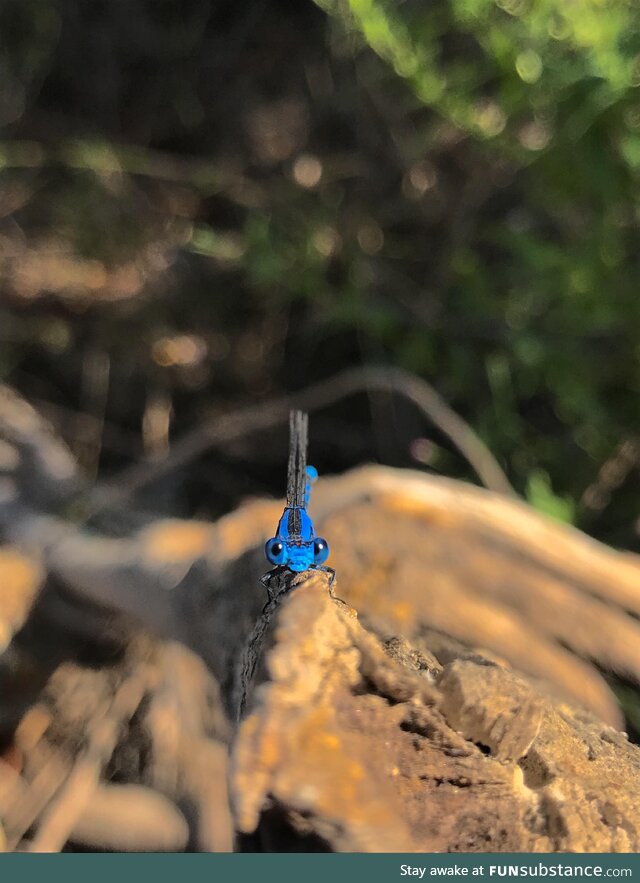 Cute lil’ fella