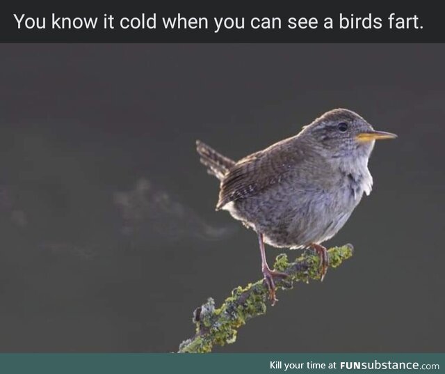 It's freaking cold here in the northeast
