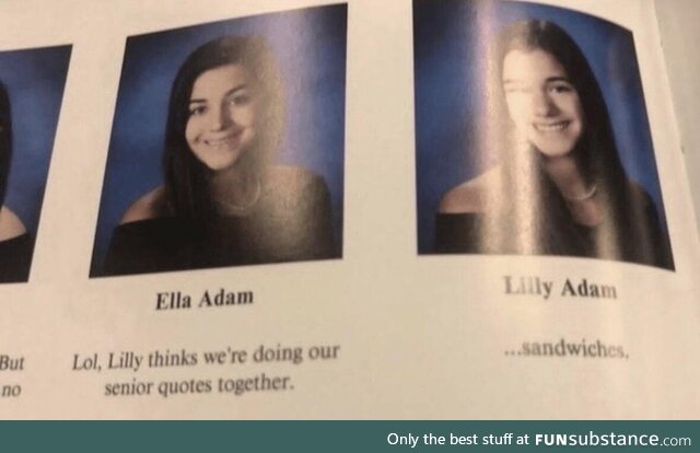 Sandwich