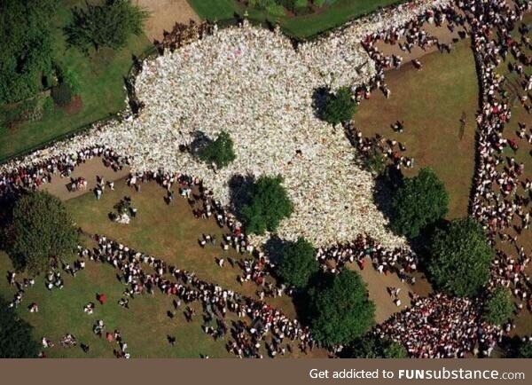 An aerial view of all the flowers that were left, before Princess Diana’s funeral