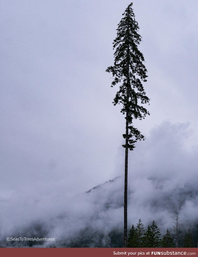 Took this photo earlier this year, and it's one of my favorites