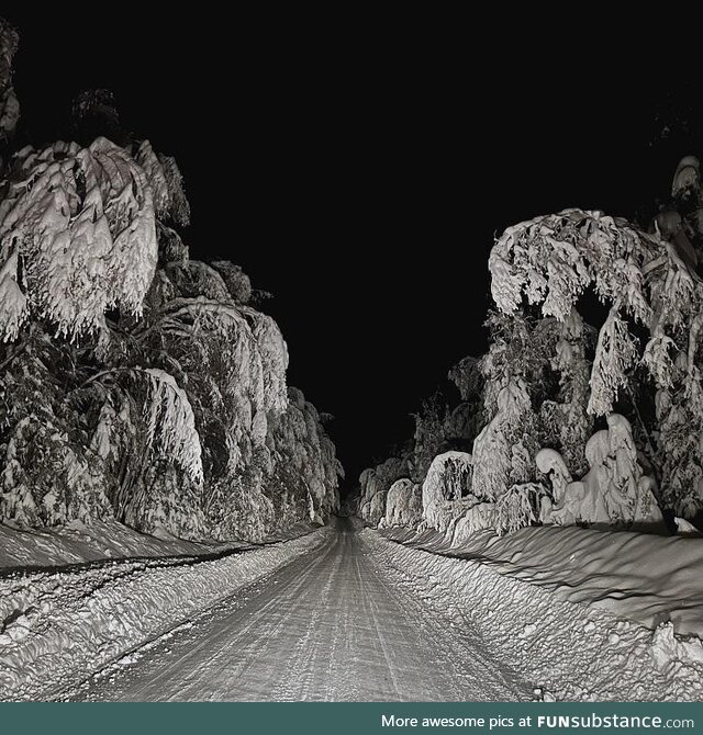 Our road in Moose Meadows, Alaska at night after a storm