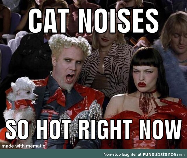 Holy cow, meow