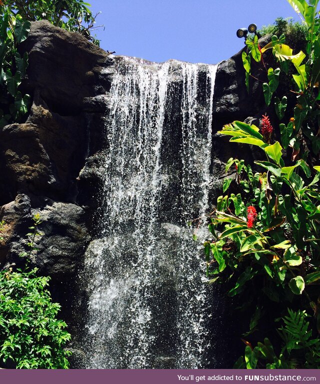 Hawaiian waterfall