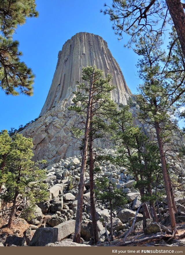 Devils tower national monument wyoming, us
