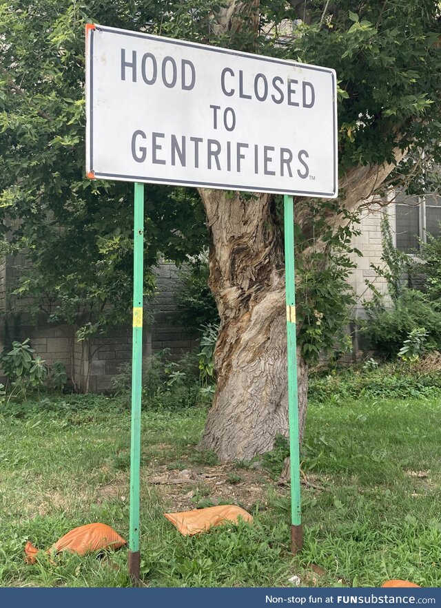 [OC] Spotted in Midtown Detroit, a neighborhood that has been thriving for many years