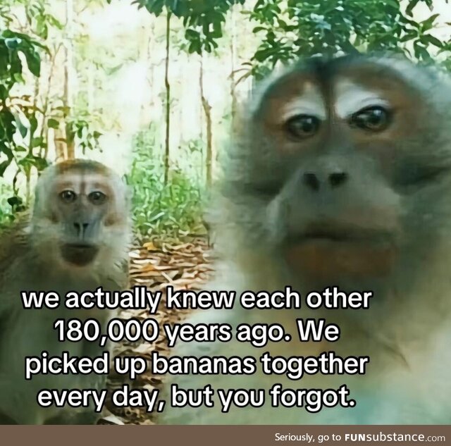 We do be reincarnating
