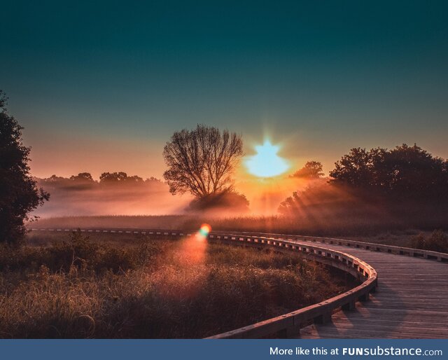 [OC] picture I took on my morning walk