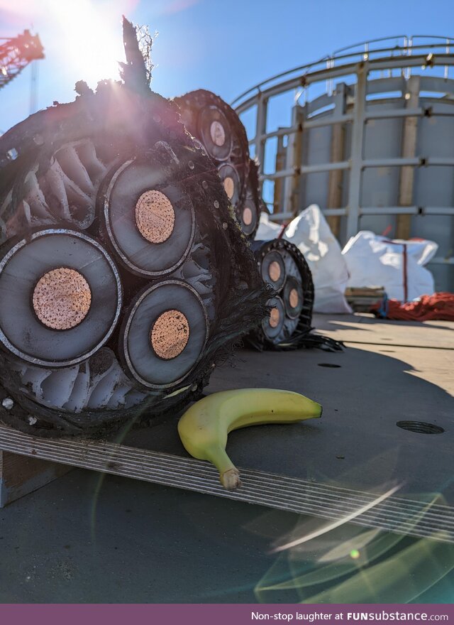 Cross section of a submarine power cable